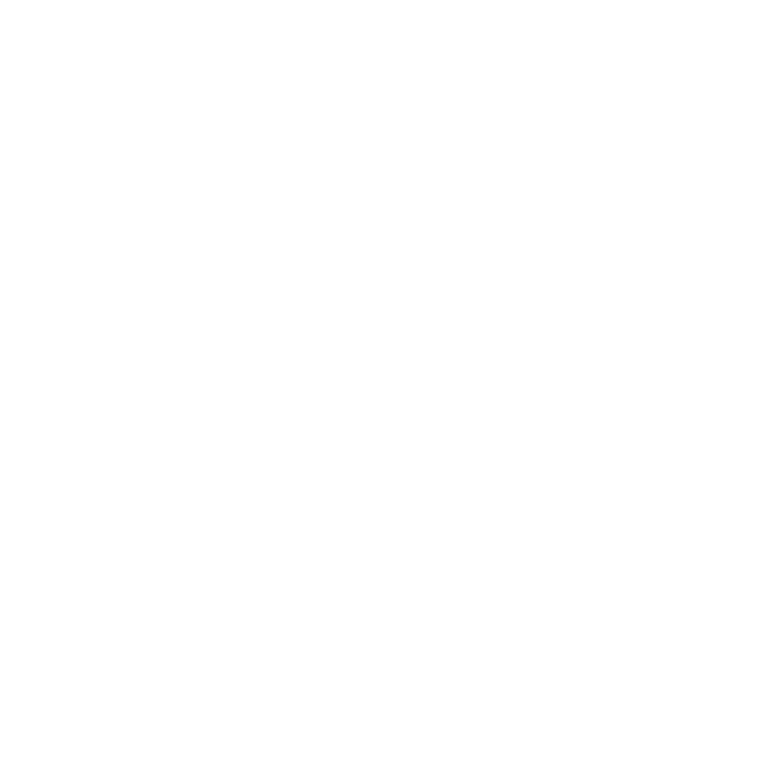 Warehousing Icon